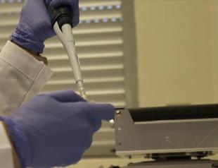 Coronavirus genome sequenced in Istanbul