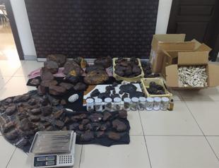 Nearly 11 million lira worth of whale vomit seized in Turkey’s south