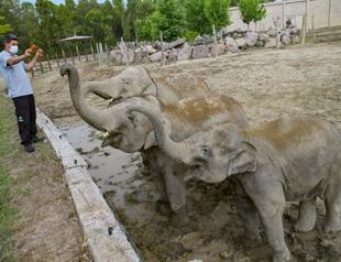 Natural life park inhabitants befriend caregivers