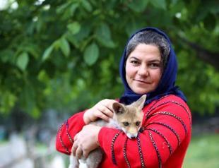 Fox pays visits to its foster family in Central Anatolian province