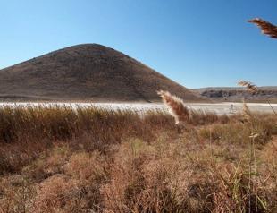 Curbing land degradation key to ending desertification