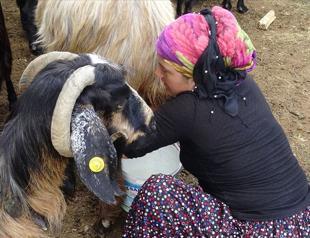 Women of Anatolian nomadic tribe lead yearly migration