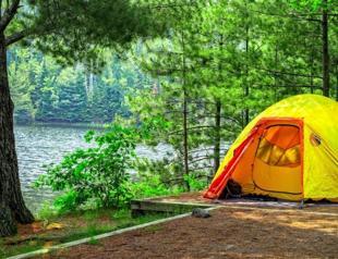Camping: Getting rid of virus blues with natures green