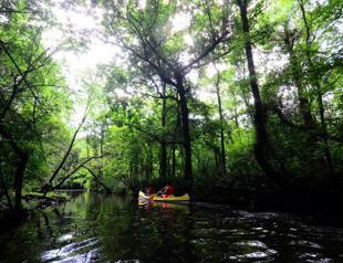 İğneada’s floodplain forests ready to welcome visitors again