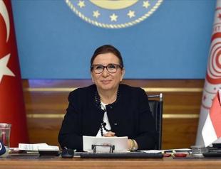 Turkish contractors ready to build Indonesian capital: Minister