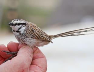 Australian outback station turned into national park
