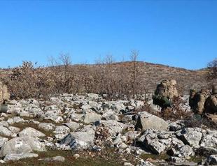 Turkey neutralized 128 terrorists in June: Interior ministry