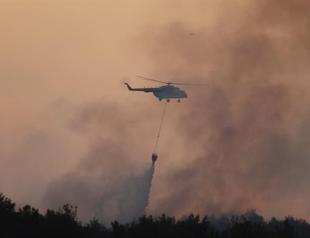 Forest fire in Çanakkales Gelibolu under control