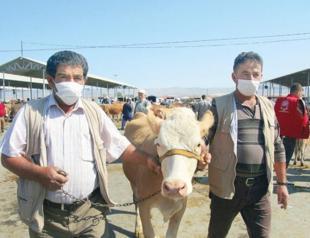 1 million people could be at COVID-19 risk on Eid al-Adha if precautions not taken, expert warns