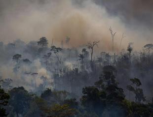 Amazon deforestation increases 25 pct