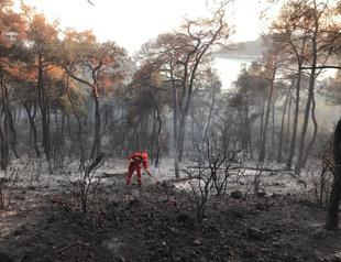 Forest fire burns 5 hectares of land on Heybeliada island