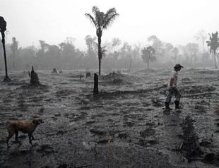 Brazil’s Bolsonaro under pressure to protect Amazon