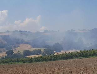 Forest fire hits Çanakkale province