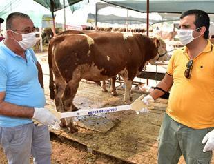 Turkey concludes preparations for measure-free Eid al-Adha