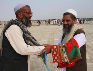 Afghan truce begins ahead of possible talks