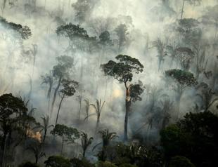 Fires in Brazils Amazon up 28% in July, worrying experts