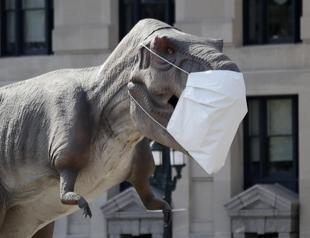 Dinosaurs got cancer too, say scientists