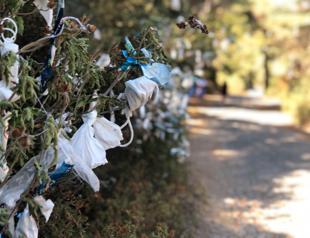 Face masks replace threads on wish trees on Istanbul island