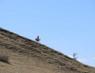 Nomadic women climb mountains every day to earn a living
