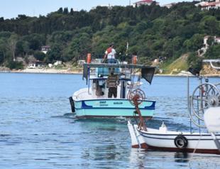 Bonitos put on counters at Black Sea fish markets