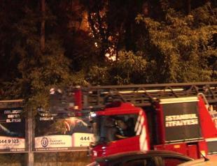 Fire breaks out in grove by the Bosphorus