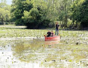Isolated holiday in Karacabey forest popular among day trip vacationers