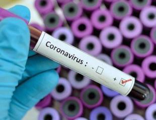 Turkey conducts record daily 100,000 COVID-19 tests