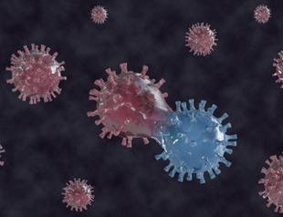 Turkish experts identify COVID-19s most mutated genes