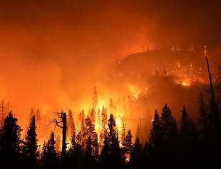 More than 200 campers rescued from California wildfires