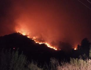 Forest fires continue to engulf Syrian border over past three days