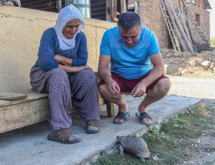 Tortoises invade eastern village