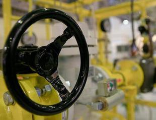 Turkey seeking better terms to renew gas supply contracts, energy official says