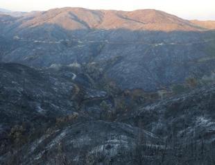 Huge forest fire on Syrian border brought under control after 93 hours of efforts