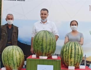 Turkey’s heaviest watermelons correspond to weight of their producers