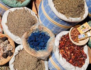 WHO endorses protocol for virus herbal medicine trials