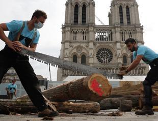 Carpenters wow public with medieval techniques at Notre Dame