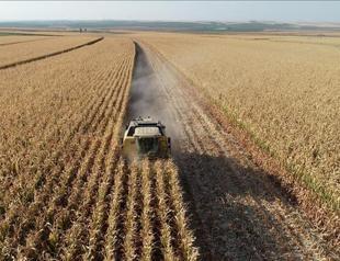 Turkish agricultural sector grows steadily, minister says