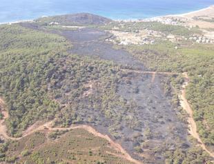 Huge forest fire in Aegean paradise brought under control