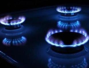 LNG can play vital role to reach US-Turkey trade target: US official