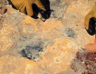 Archeologists discover sun disk in northwestern Turkey