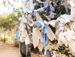 Masks replace threads on wish trees near Zeus Altar