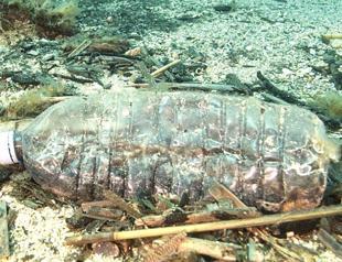 14 million tons of microplastics on sea floor, study finds