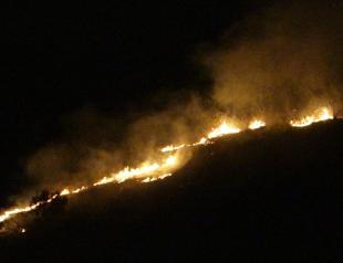 Fires break out on same day in three provinces of Turkey