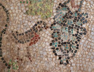 Zeugma-like mosaics found in Sinop