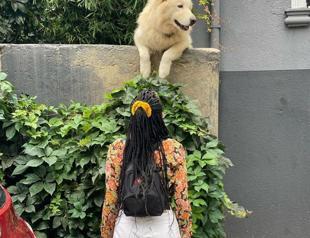 Famous singer Halsey poses with Kuzguncuk’s popular dog