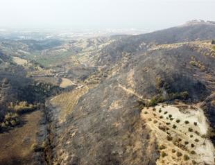 We will afforest burnt lands in Hatay, says minister