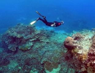 Underwater heat 'inferno' ravages Mediterranean corals