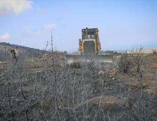 English football club gives saplings to Turkish forests