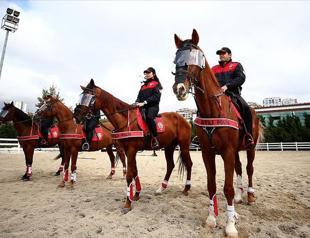 Mounted police officers secure Istanbul with 8 horses