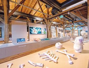 Mamut Art Project enlightens city with its unique show